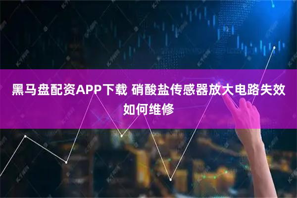 黑马盘配资APP下载 硝酸盐传感器放大电路失效如何维修
